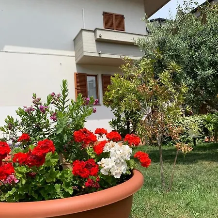 Guest house Brezza Affittacamere