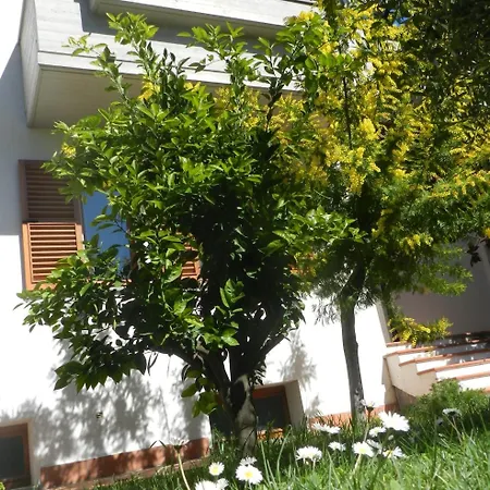 Brezza Πανσιόν