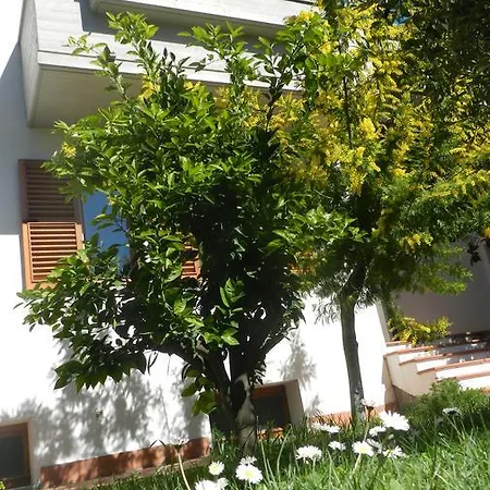 Guest house Brezza Affittacamere Montemarciano